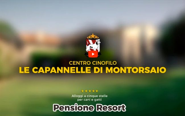 traduzione sottotitoli video inglese francese tedesco